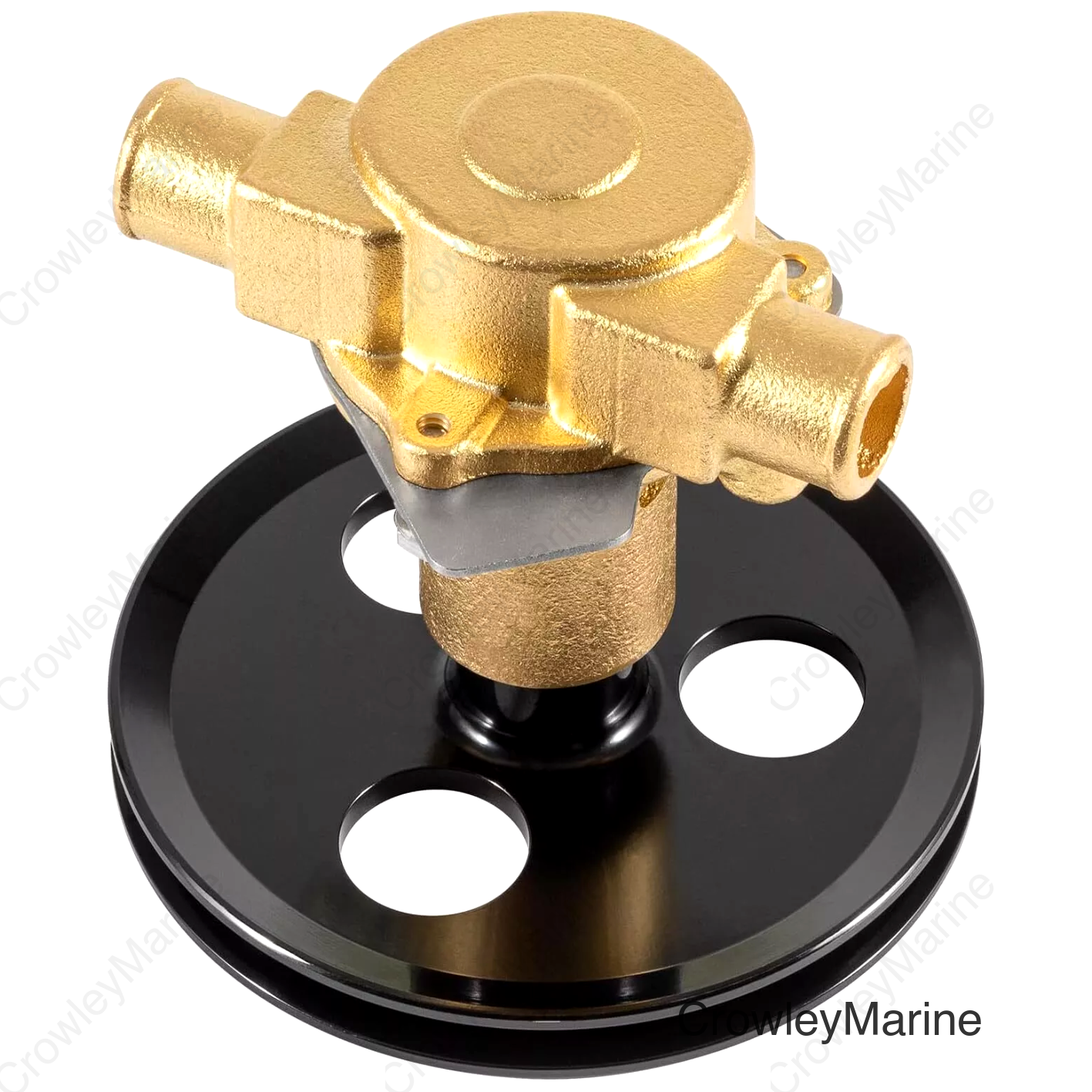 Pump, Sea Water 