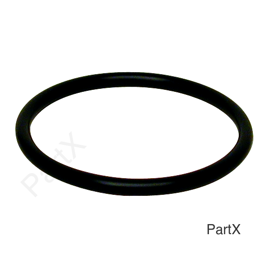 O-Ring (84310)