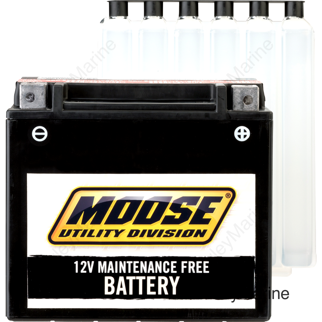 BATTERY YTX4L-BS