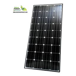 330-Watt Crystalline Solar Panel (2 x 165W) (50262)