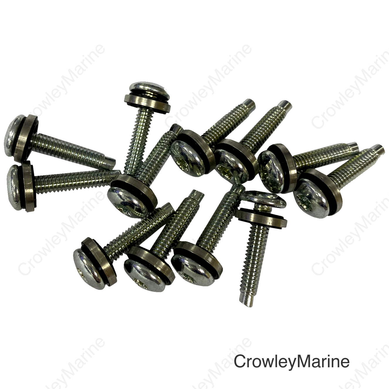 SCREW EFI MNT(1331) 12PK