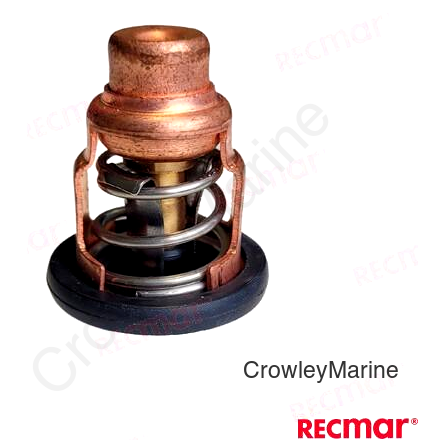 THERMOSTAT (REC6E5-12411-30)