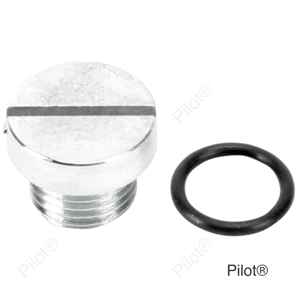 Oil Screen Plug - Chrome - Big Twin