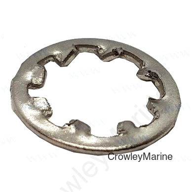 LOCK WASHER 6 (PAGB/T861.1-6)