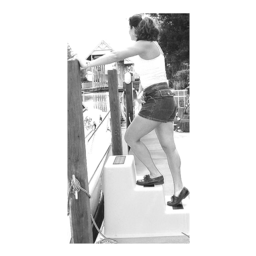 Dock Step-Triple Tread thumbnail-0