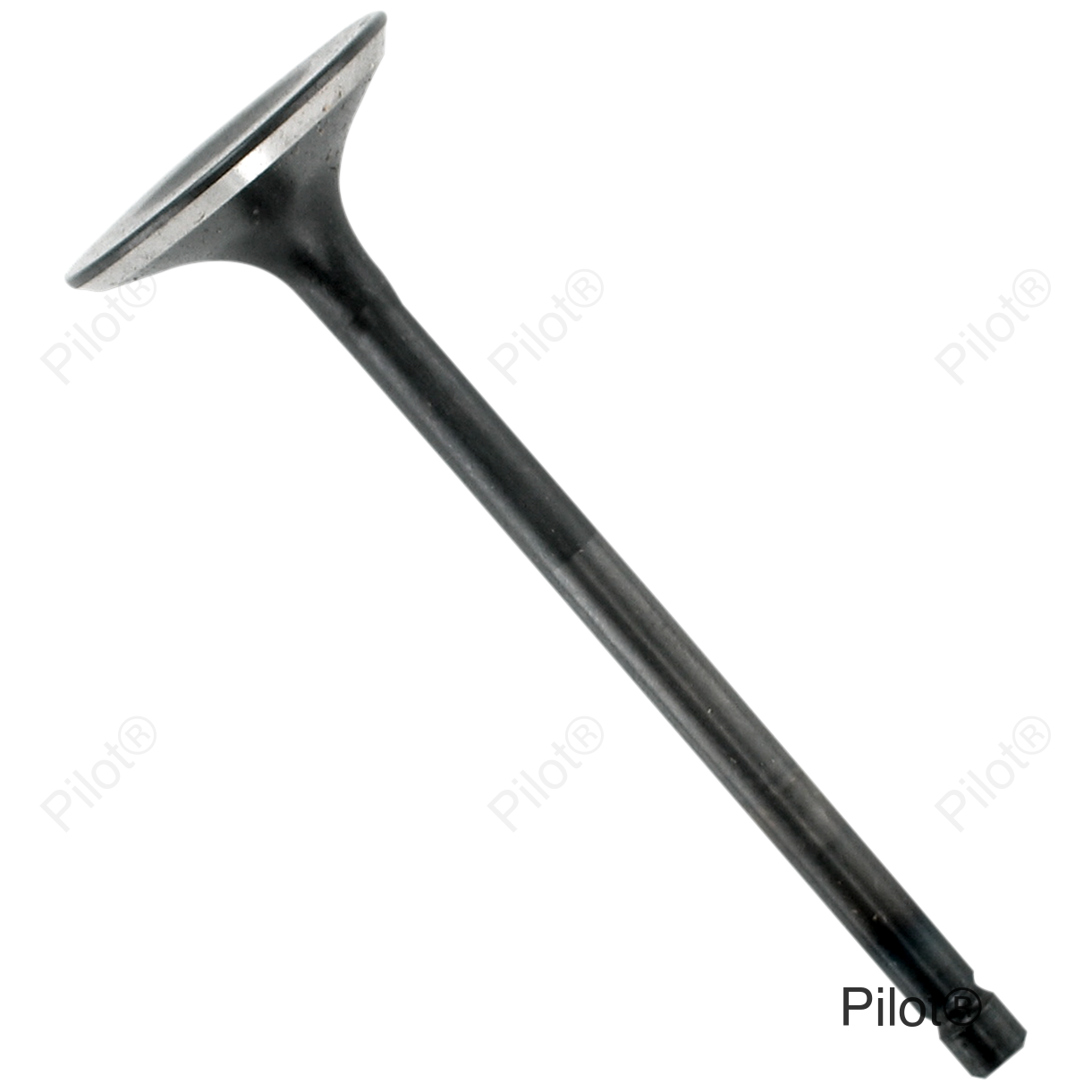 Exhaust Valve