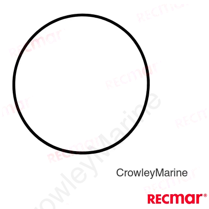 O-RING
