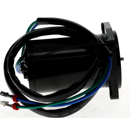 Trim Motor thumbnail-15