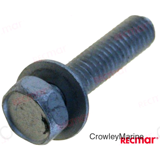SCREW (REC09116-06121)