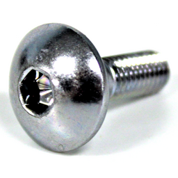 SCREW (3YF)