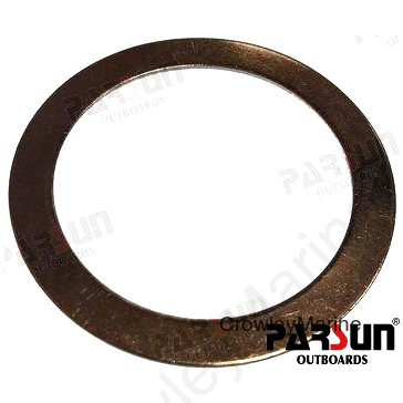 WASHER (PAF15-01000008)