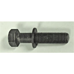 Bolt with Washer