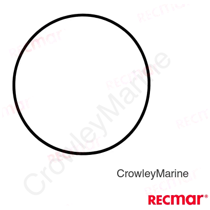 O-RING
