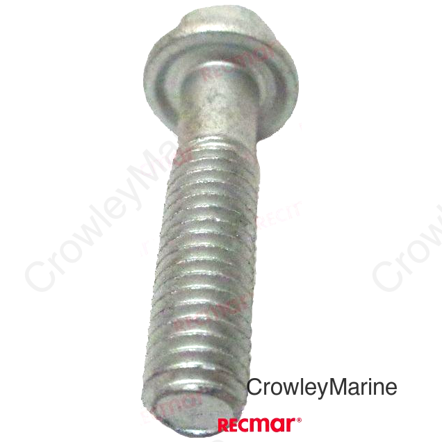 BOLT (REC90105-06M01)
