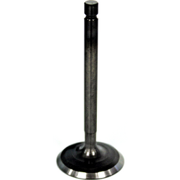 Intake Valve