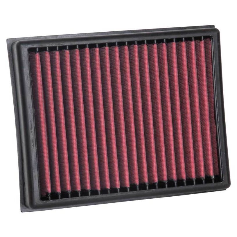 AEM Induction 15-17 Nissan NP300 2.3L DryFlow Air Filter