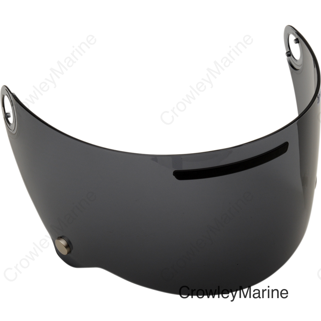 X3000 LEG-1 Shield - Anti-Fog - Tinted