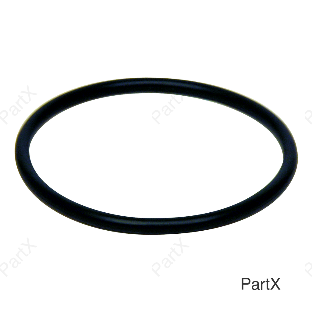 O-Ring (84001)