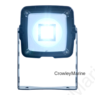 Solar Powered LED Indoor/Outdoor Swivel Light (NP24801)