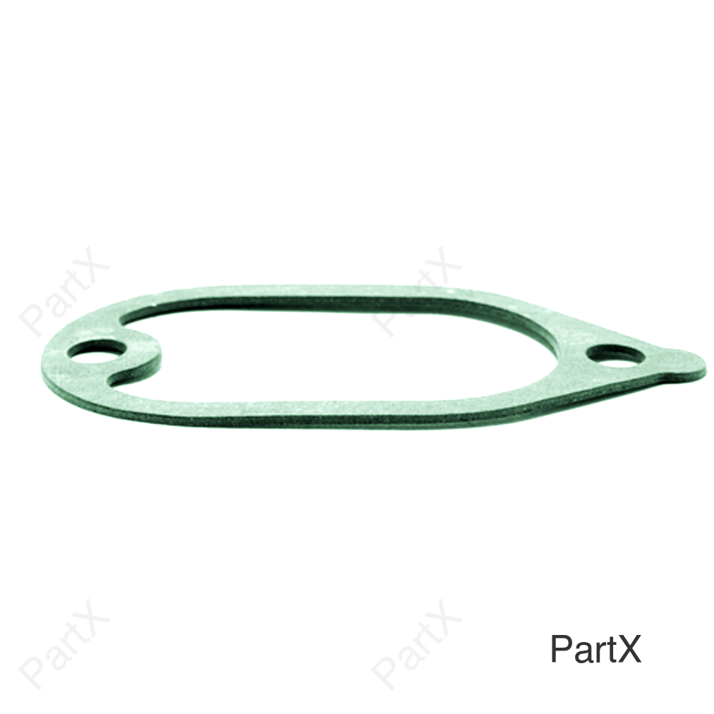 Gasket (38077)