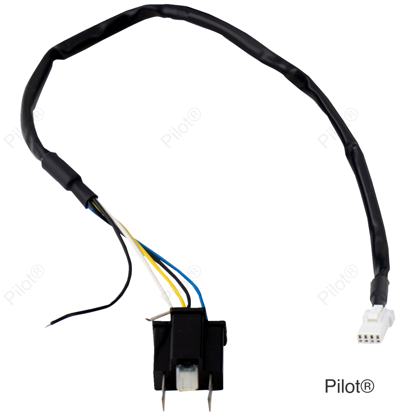 Wire Harness - FLHX