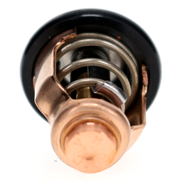 THERMOSTAT thumbnail-11