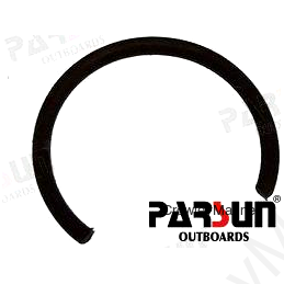 CLIP (PAF4-03000005)