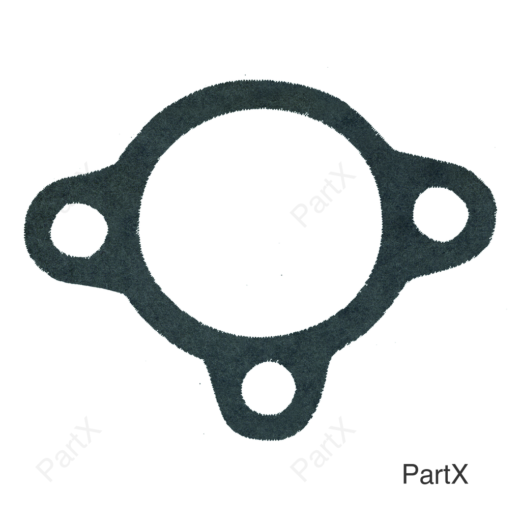 Gasket (38078)