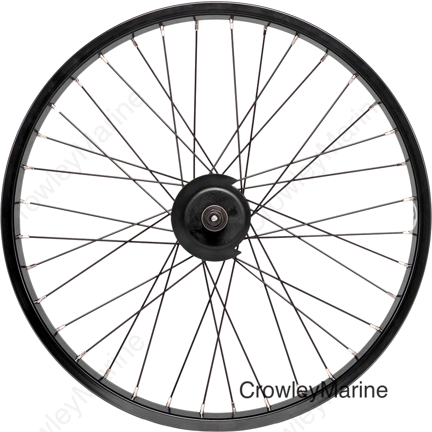 Salt Everest Rear Wheel - 20 Black Freecoaster LHD