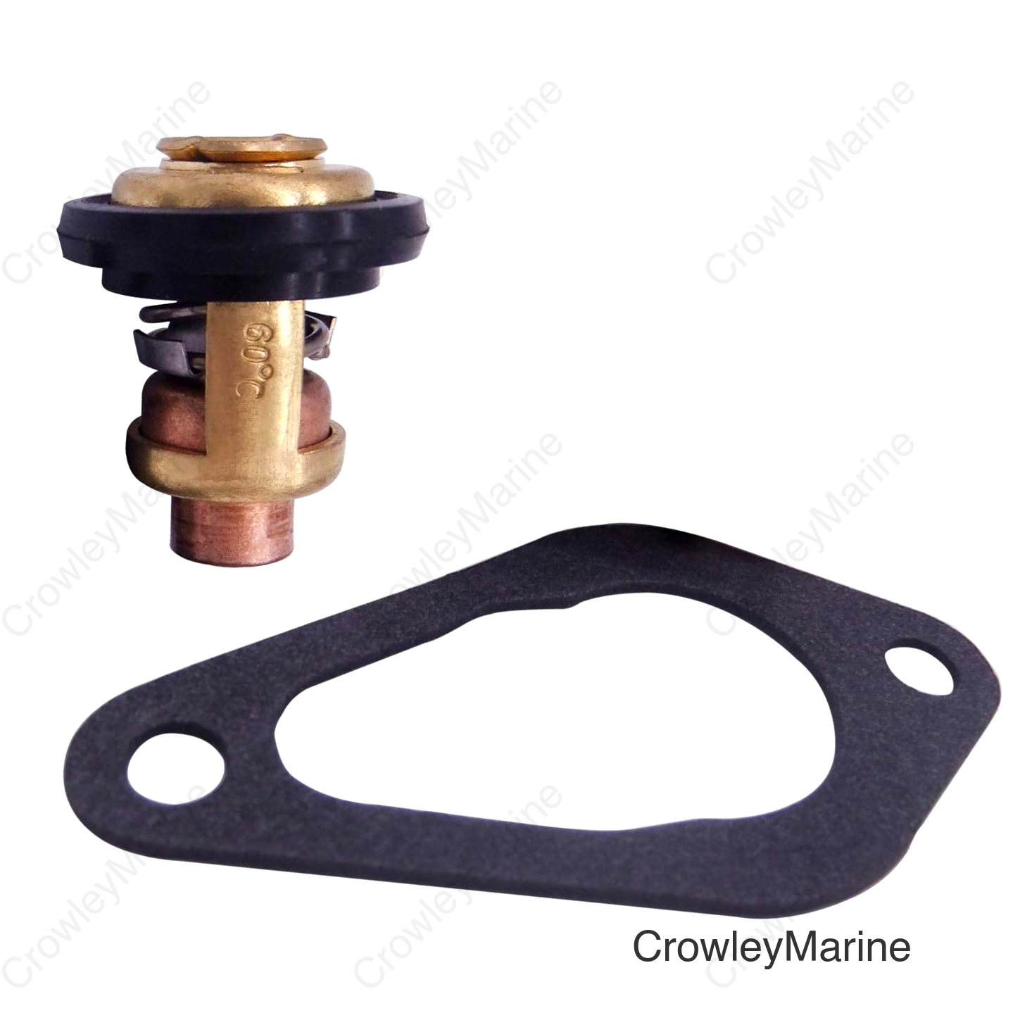 Thermostat Kit