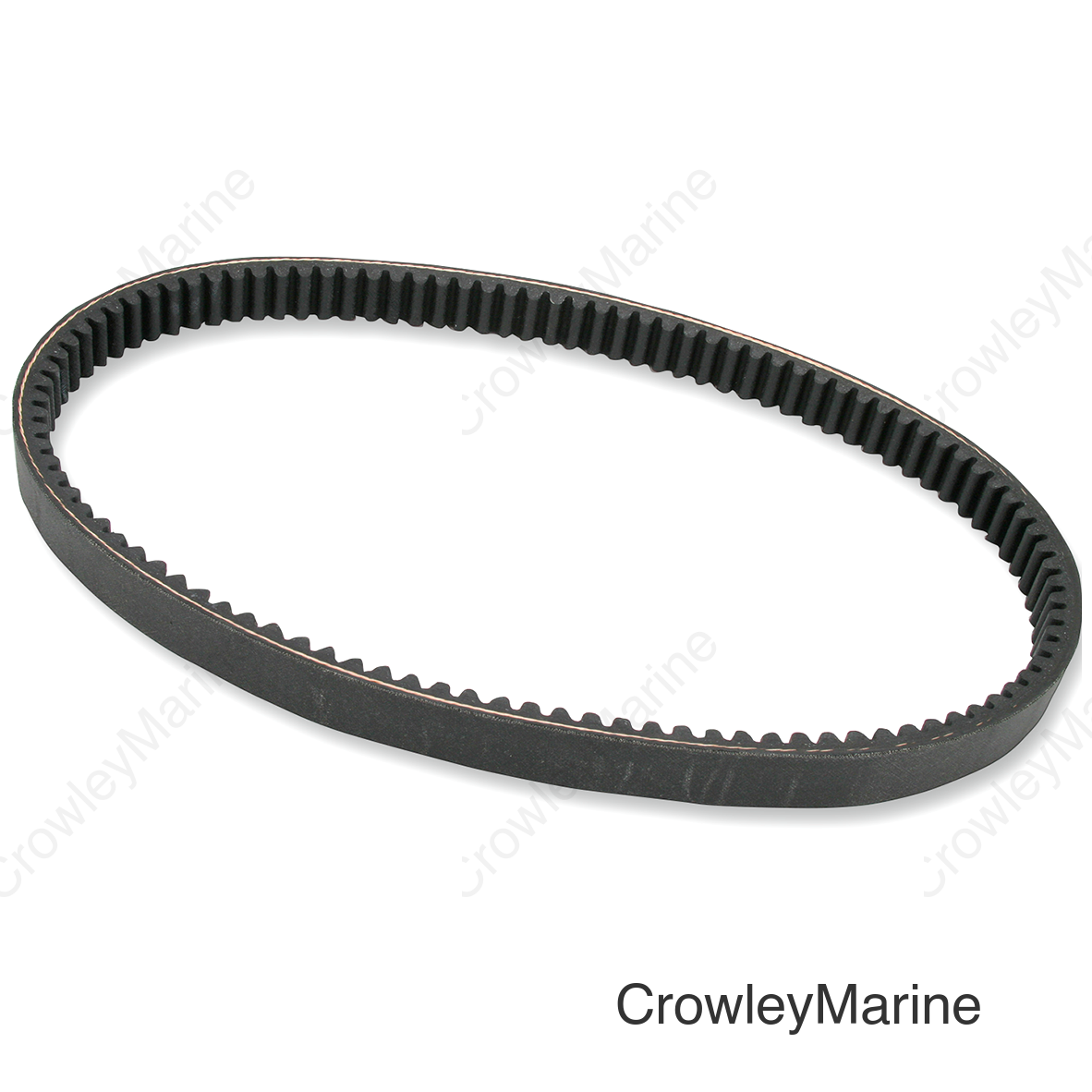 PERFORMER SERIES BELT