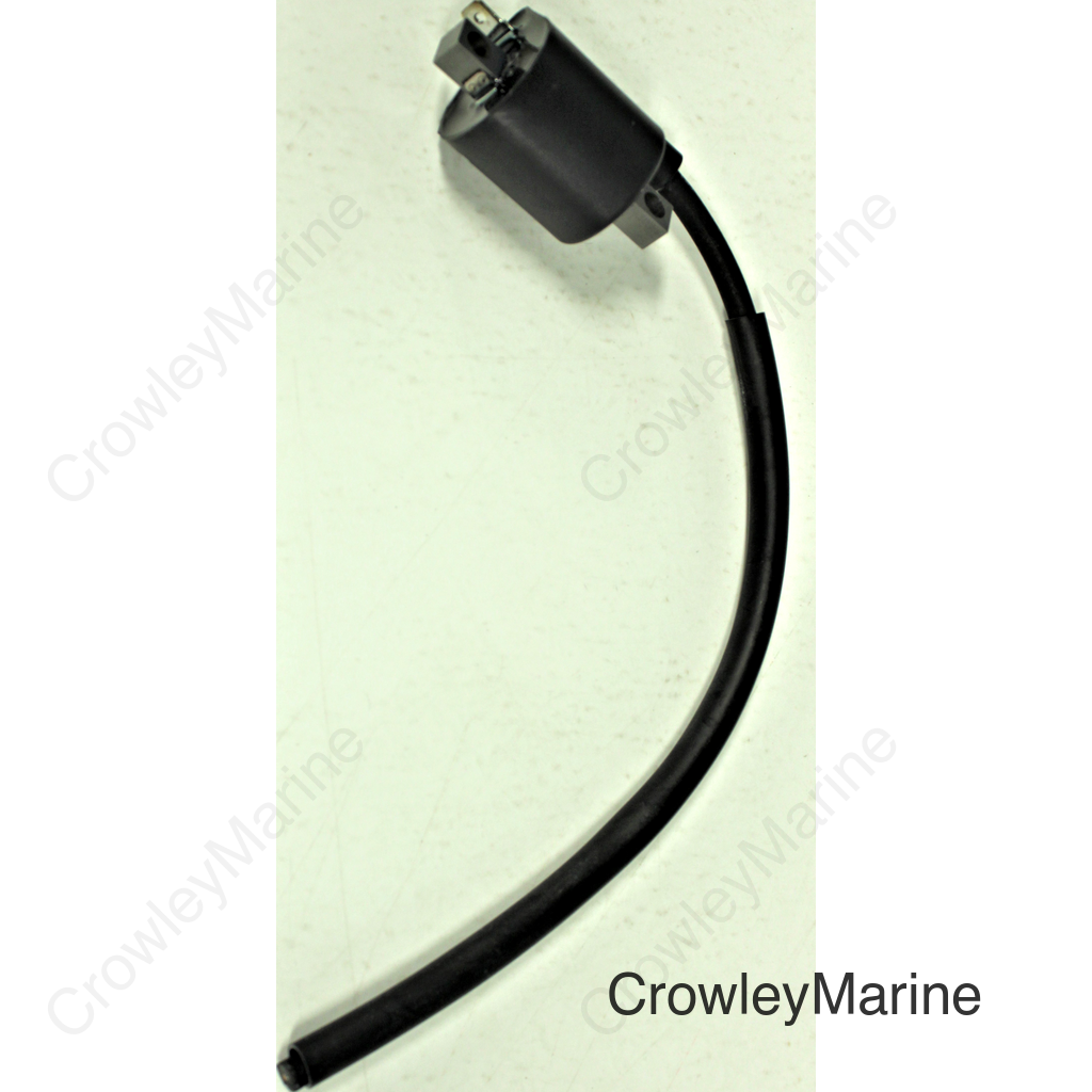 Ignition Coil Assembly