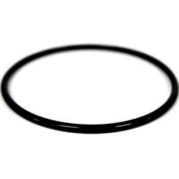 O-RING (66.4X3.1)