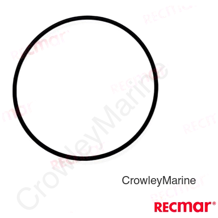 O-RING