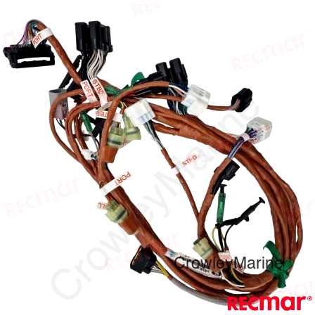 HARNESS ASSY BCM NO.1 MULT