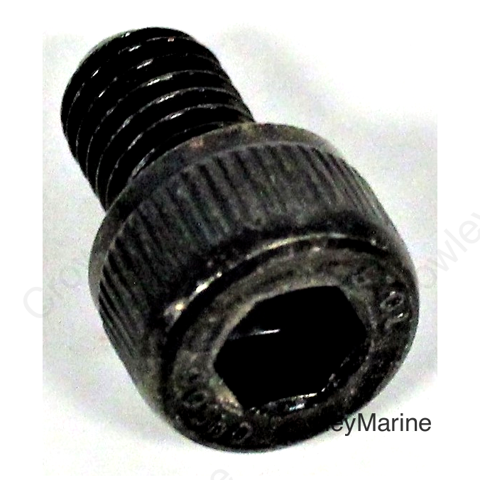 Socket Bolt