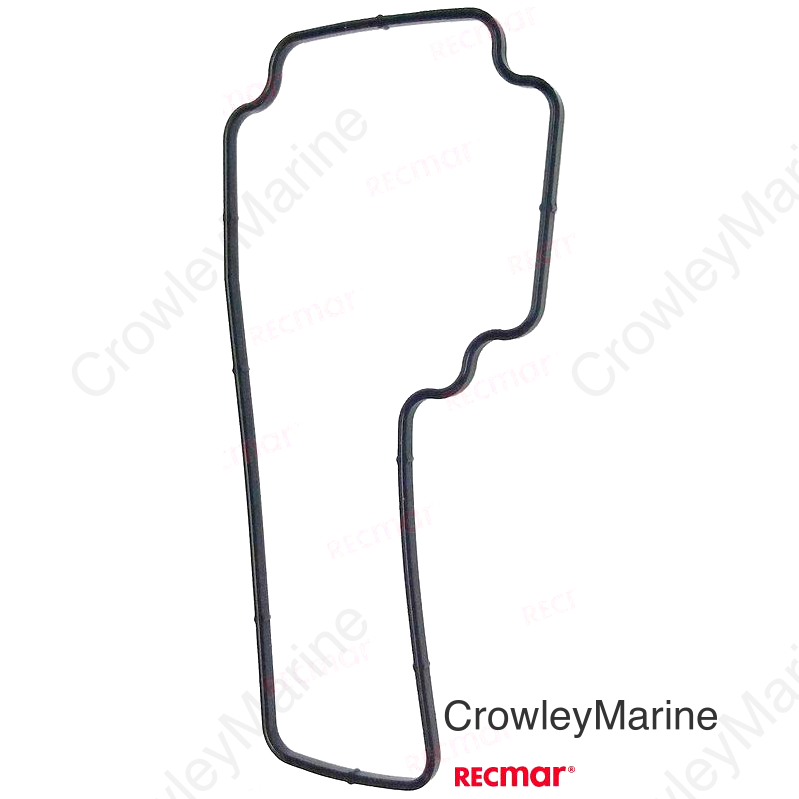 O-RING (REC15626-99E00)