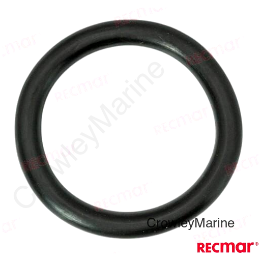 O-RING
