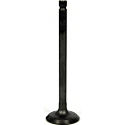 Intake Valve