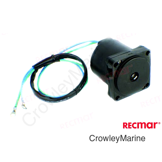 TRIM MOTOR