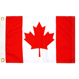 24" TOON RAIL POLE AND FLAG (921CAN) thumbnail-0