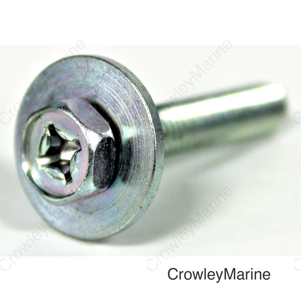 Screw With Washer