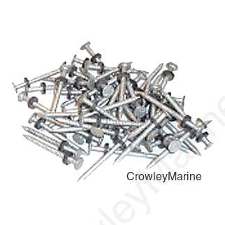 Taylor 96028 Galvanized #6 Nails w/Washers 1/8# 12/Cd