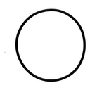 TP - img0.jpg