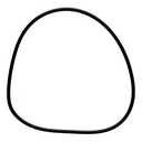 TP - img0.jpg