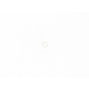 TP - img0.jpg