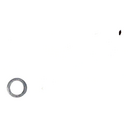 TP - img0.jpg