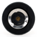 BT - img0.jpg
