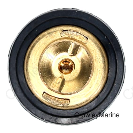 TP - img0.jpg