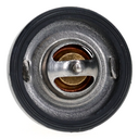 TP - img0.jpg